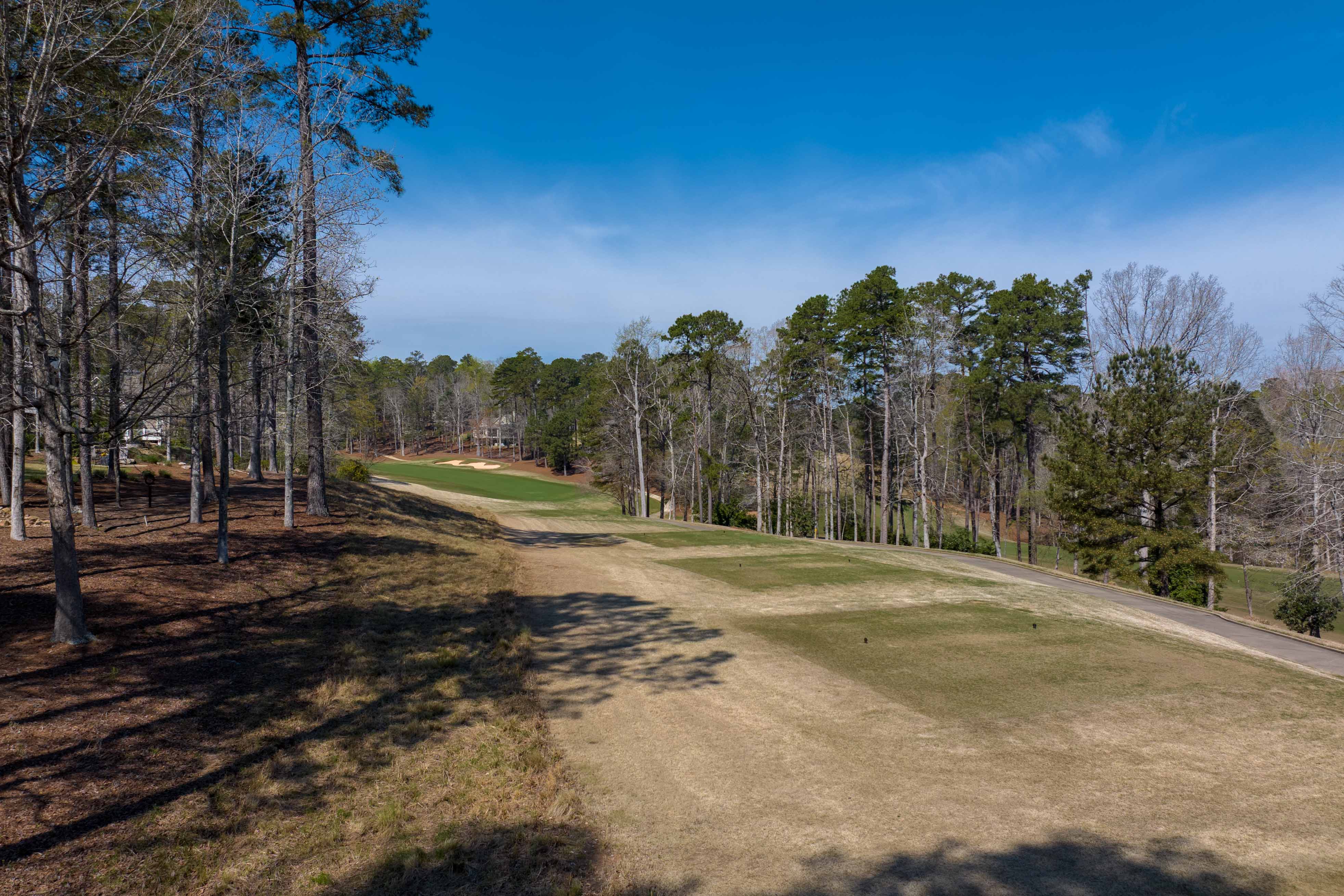 1100 Curtright Place image 4